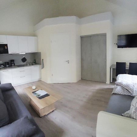 Ferienwohnung Teichblick فرايبرغ الغرفة الصورة